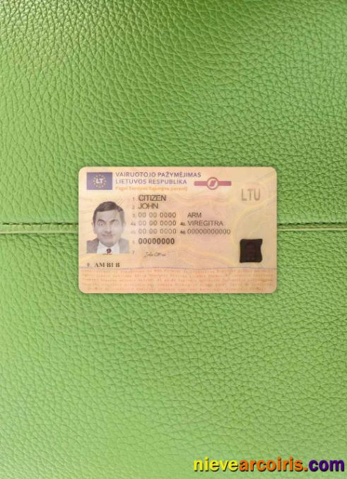 Lithuania driving license photolook